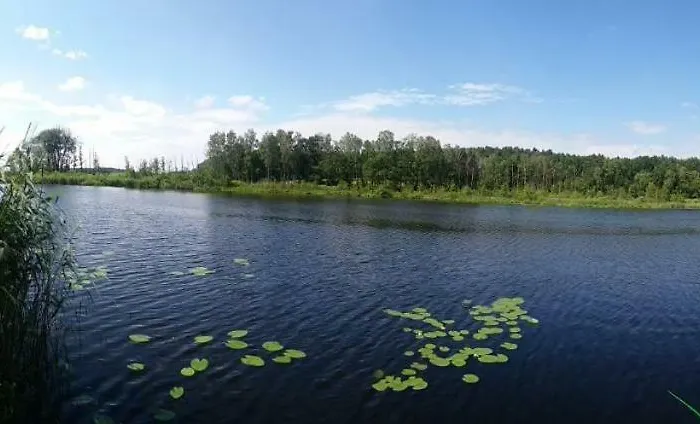 Apartamento Kieselwitzer Stuebchen Bremsdorfer Weg 9